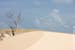 The yellow sand of Pequena Lençóis (east od Rio Preguiças)� - Lencois Maranhenses